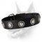 Exclusive Nylon Dog Collar with Awesome Silver Conchos