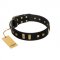 "Fit for Royalty" FDT Artisan Black Leather Doberman Collar with Plates and Small Square Studs