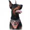 Gorgeous Hand Painted Leather Harness for Doberman Pincher