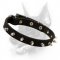 Spiked Leather Dog Collar-Worthy Dog Equipment-Dressy Canine Accessory
