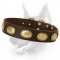 Retro Rulz - Gorgeous Vintage Dog Leather Collar - Handcrafted Creation