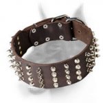 Extra Wide Doberman Leather Dog Collar with Spikes and Studs