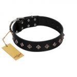 "Immense Power" Handcrafted FDT Artisan Black Leather Doberman Collar with Small Dotted Pyramids