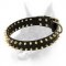 "Unveiled Luxury" Spiked Leather Doberman Dog Collar