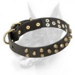 Extraordinary Leather Doberman Collar Decorated with Brass Cones