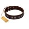 "King Arthur" FDT Artisan Brown Leather Doberman Collar with Spiky Plates
