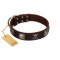 "Nut-Brown Finery" Embellished FDT Artisan Brown Leather Doberman Collar with Chrome Plated Crossbones and Plates