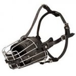 'No Mash' Beautiful and Ergonomic Wire Basket Muzzle with Padding for Doberman