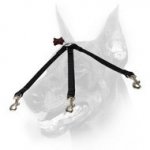Doberman Dog High-quality Nylon Triple Coupler Leash