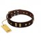 "Choco Delight" FDT Artisan Brown Leather Doberman Collar with Old Bronze-like Plates and Studs