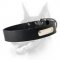 Specialized Leather Doberman Collar with ID Tag