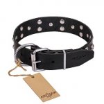 FDT Artisan 'Mystic Skulls' Decorated Leather Doberman Dog Collar with Skulls and Studs 1 1/2 inch (40 mm)