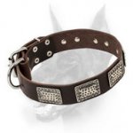 Excellent Doberman Dog Collar of Leather with Silver-like Adornment