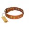 "Sand of Time" FDT Artisan Tan Leather Doberman Collar with Old Bronze-like Studs and Plates