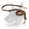 Leather Doberman Leash for Dog Ttraining, Walking, Tracking