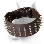 Doberman Dog Collar With Spikes Hand Set in 4 Rows