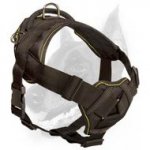 Versatile Nylon Doberman Breed Harness-Special Training Comfy Dog Wear