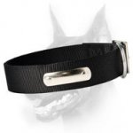 Looking for 2 Ply Nylon Dog Collar w/h name tag/Metal Buckle