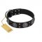 "Boundless Blue" FDT Artisan Black Leather Doberman Collar with Chrome Plated Brooches and Square Studs