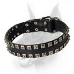 Exclusive Stud Decorated Leather Dog Collar