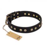 "Black Elegance" FDT Artisan Leather Doberman Collar with Round Studs