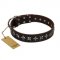 "Stars of Glory" FDT Artisan Brown Leather Doberman Collar for Comfortable Walking