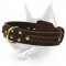 Gorgeous Wide 2 Ply Leather Dog Collar for Noble Dobermans