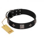 "Black Cavalier" Handmade FDT Artisan Black Leather Doberman Collar with Silver-Like Stars and Large Plates