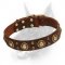 "Space-like" Doberman Dog Collar with Outstanding Adornment
