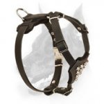 Leather Doberman Puppy Harness Decorated with Silver Studs