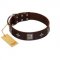 "Cold Star" Designer FDT Artisan Brown Leather Doberman Collar with Silver-Like Adornments
