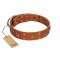 "Faraway Galaxy" FDT Artisan Tan Leather Doberman Collar Adorned with Stars and Squares