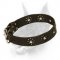 Elaborately Decorated Doberman Dog Collar 'Flower Blues'