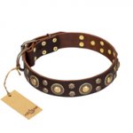 'Flower Melody' FDT Artisan Brown Leather Doberman Collar with Mixed Studs