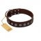 "Starry-Eyed" Best Quality FDT Artisan Brown Designer Leather Doberman Collar with Small Plates
