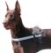 Excellent Nylon Reflective Dog Harness-Multifunctional Lifetime Doberman Gear