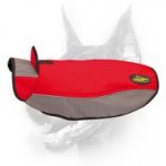 Practicable Winter Nylon Dog Coat-Excellent Doberman Outerwear for Winter