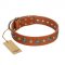 "Natural Beauty" FDT Artisan Tan Leather Doberman Collar with Shining Silver-like Studs