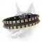 Newly-Designed Brass Studded Leather Dog Collar - "Caterpillar"