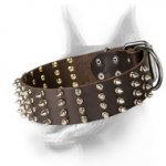 Extra Wide Doberman Dog Collar with 4 rows of Spikes