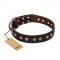 "Bronze Sheen" FDT Artisan Leather Doberman Collar with Brass-Plated Studs