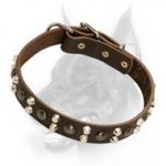 Custom Studded Leather Dog Collar for Doberman