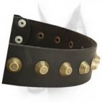 Gorgeous Wide Leather Dog Collar With One Centered Row Of Brass Pyramids