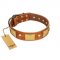 "Mutt The Daredevil" FDT Artisan Tan Leather Doberman Collar with Old Bronze-like Skulls and Plates