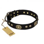 "High Fashion" FDT Artisan Studded with Plates Black Leather Doberman Collar