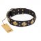 "Fancy-Schmancy" FDT Artisan Studded Leather Doberman Collar