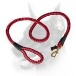 Doberman Dog Heavy-duty Nylon Cord for All-weather Activities