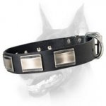 Fashion Doberman Collar Adorned wth Massive Vintage Plates