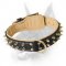 Simply Stunning Leather Dog Collar with 2 Rows of Spikes for Doberman
