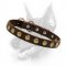 Designer Leather Dog Collar With Gold-Like Circles